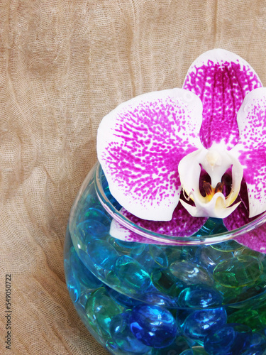 Beautiful orchid flower in bowl with water and glass stones.