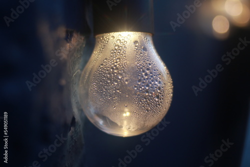  blurred of other bulbs as bokeh background.