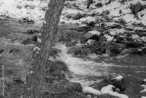 River in the Canadian forest after the first snows of November. Province of Quebec
