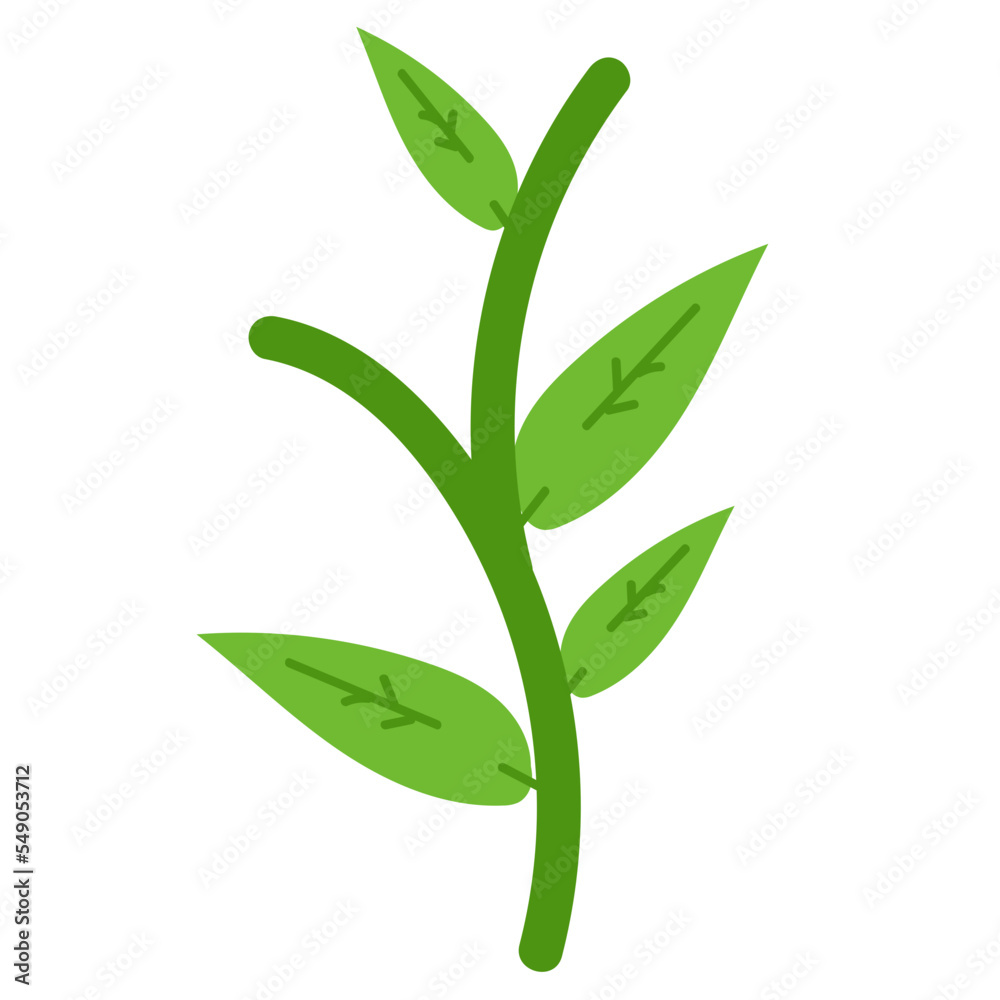 Fototapeta premium sunflower with leaves