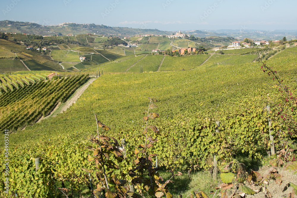 Autumn Italian Langhe view.
View of hills with vines in autumn season. Piemonte, Langhe area.