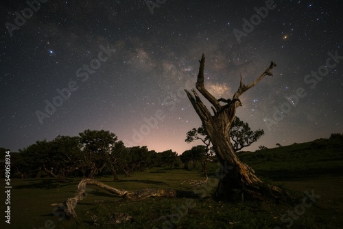Fotografia Galactic core of the Milkyway on a moonlit night Fanal Forest, Madeira, Portugal
