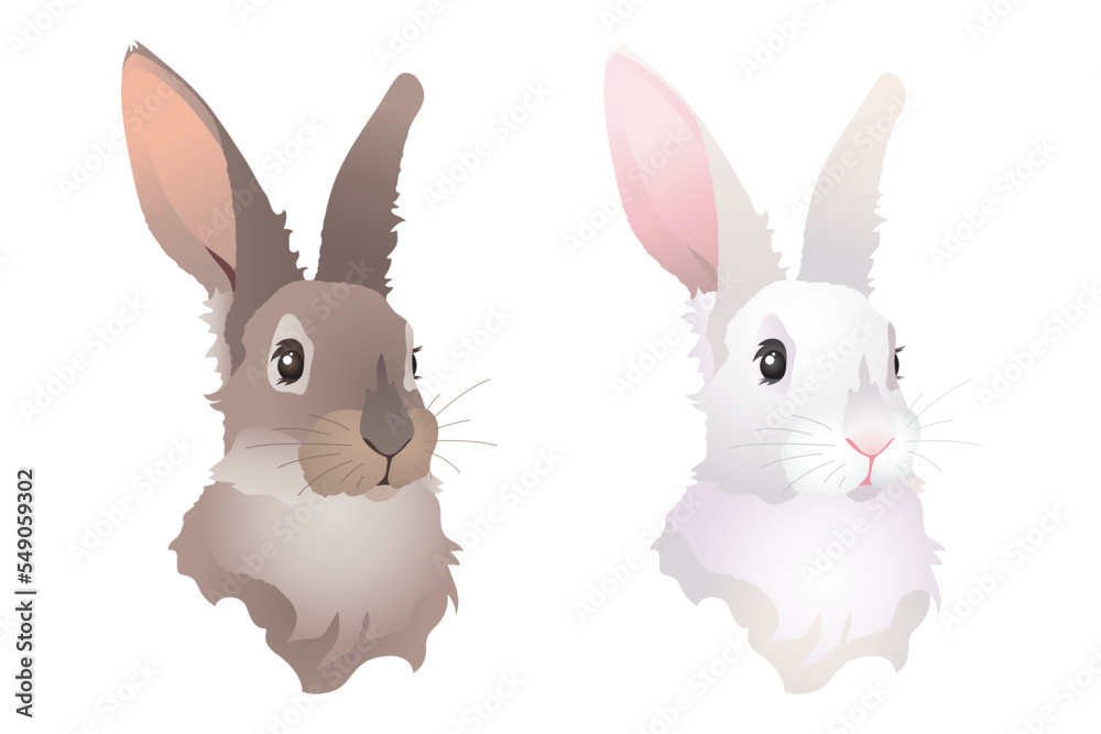 Gray and white rabbit, symbol of 2023. Set of isolated vector illustrations Gray and white rabbit, symbol of 2023. Set of isolated vector illustrations
