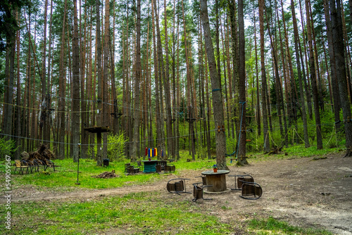 Fototapeta Naklejka Na Ścianę i Meble -  forest