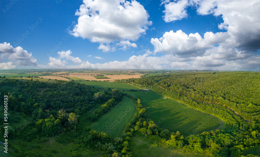 Agricultural fields with cereal crop plants next to forest in Bulgaria, Europa. Panorama, top view
