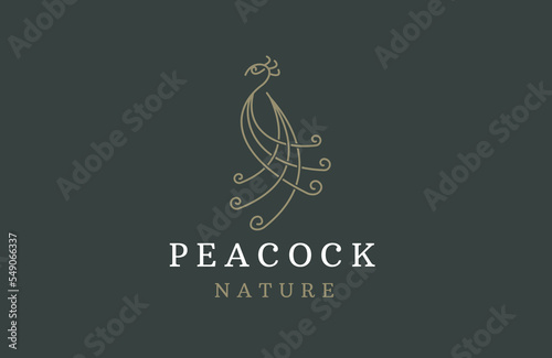 Peacock bird with leaf illustration line logo design template