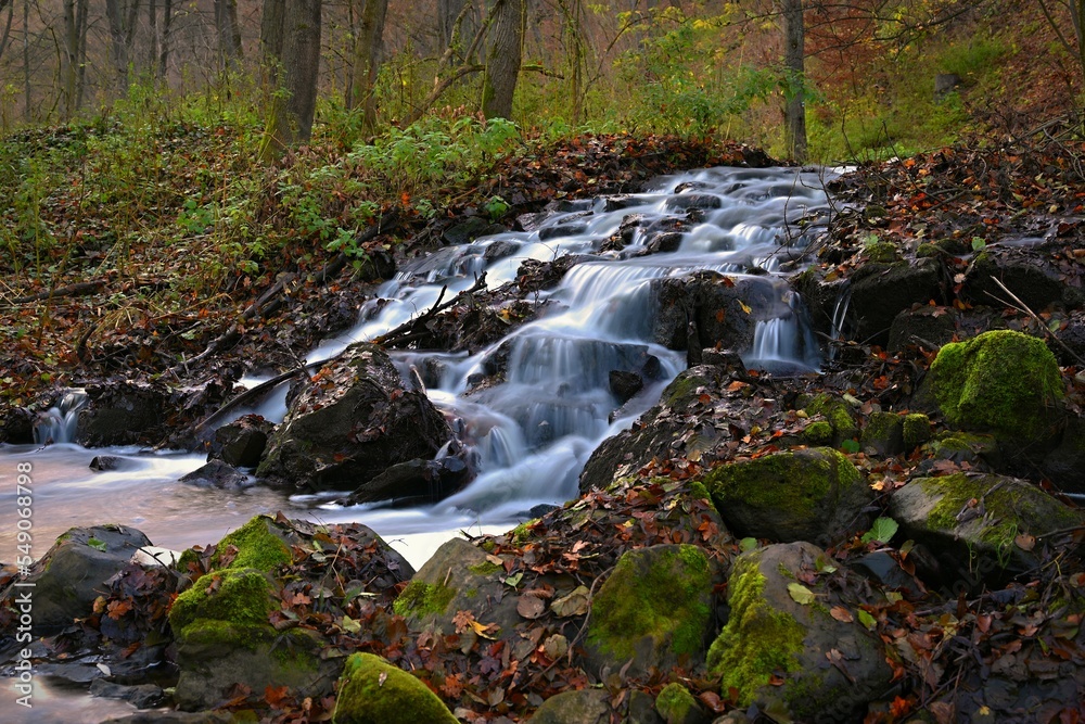 Beautiful forest with flowing water in the stream. Concept for nature and environment. Beautiful forest with flowing water in the stream. Concept for nature and environment.