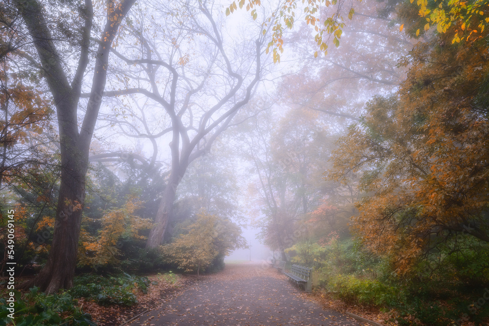 Autumn Fog in Fort Tryon Park
