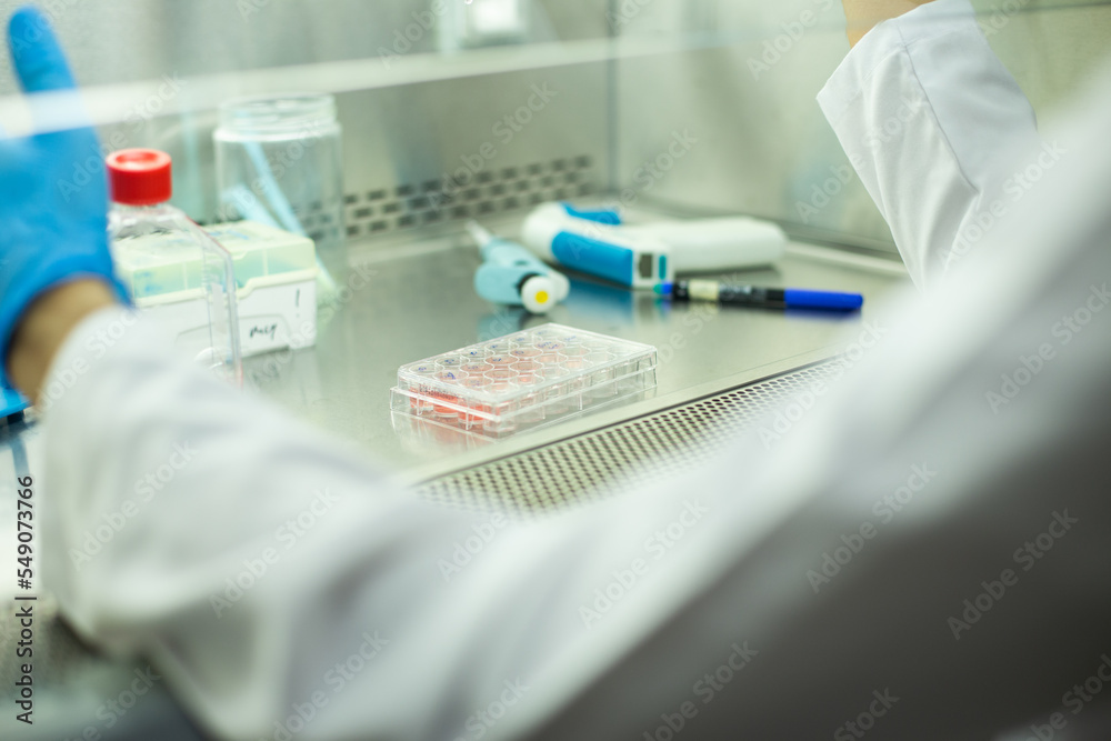 cell culture at the medicine , medical and biology laboratory cell culture at the medicine , medical and biology laboratory