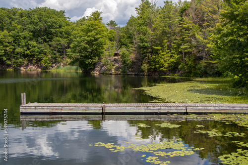 wooden dock on a lake with lily pads