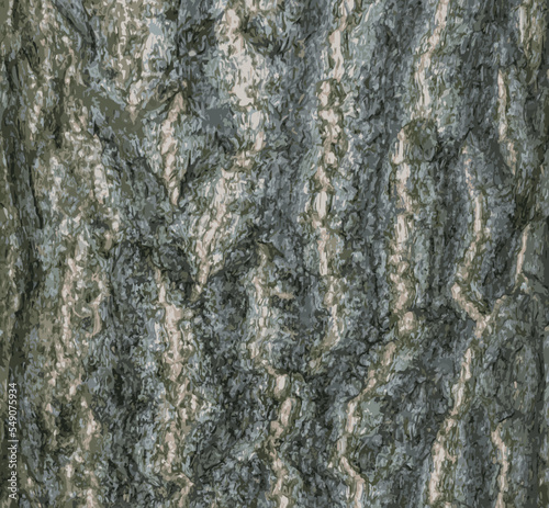 Realistic vector illustration of ginkgo biloba tree bark. Tree bark background.
