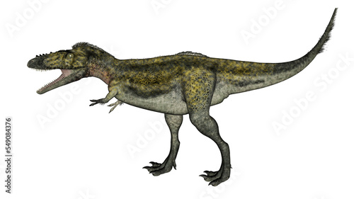 Alioramus dinosaur walking - 3D render © Elenarts