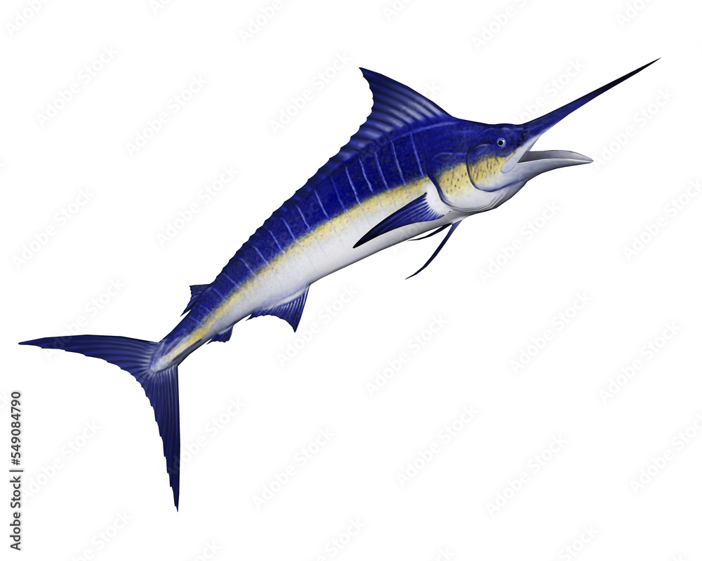 Marlin fish jump - 3D render Marlin fish jump - 3D render
