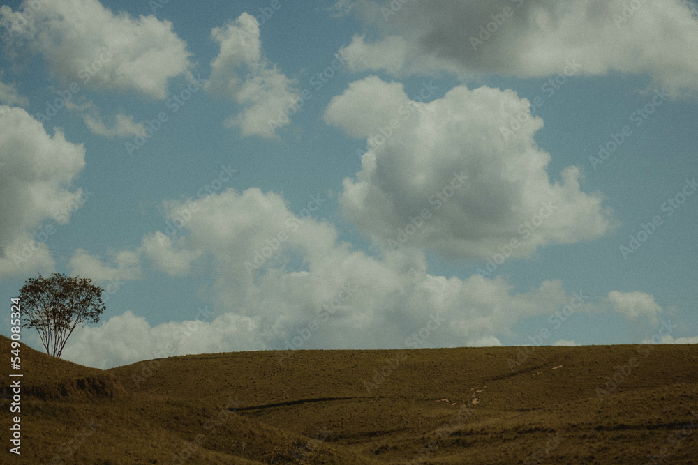 Landscape and Sky