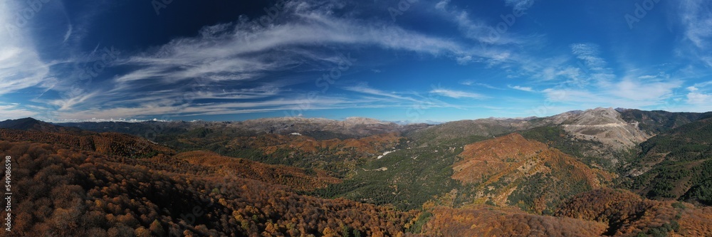 Bosque de cobre