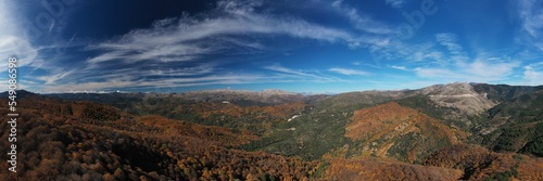 Bosque de cobre