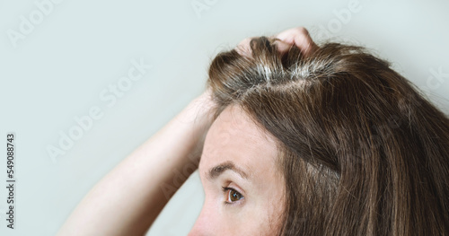 Close-up of the gray hair roots of a young woman forty years old