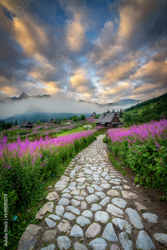 Fototapeta Naklejka Na Ścianę i Meble -  Beautiful summer sunrise in the mountains - Hala Gasienicowa in Poland - Tatras