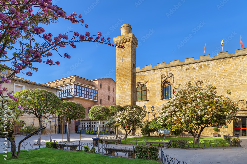Old palace building, Olite, Spain