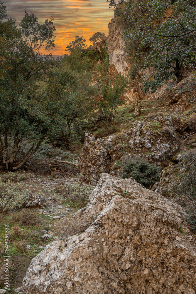 Fototapeta premium Imbrusschlucht auf Kreta