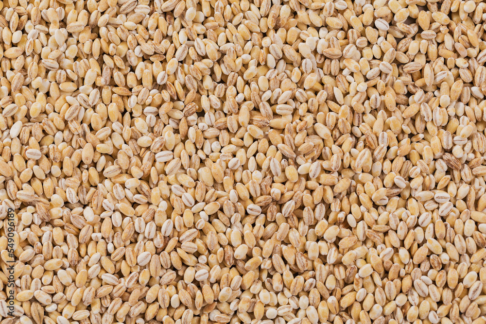 Organic uncooked pearl barley top view. Grains of raw dried broken barley cereal grain as an abstract texture background. Organic uncooked pearl barley top view. Grains of raw dried broken barley cereal grain as an abstract texture background.