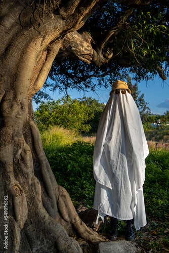 ghost at sunset receiving natural light, mexico latin america