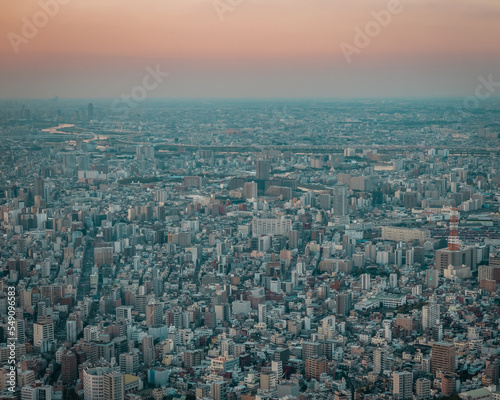 aerial view © carvalhot