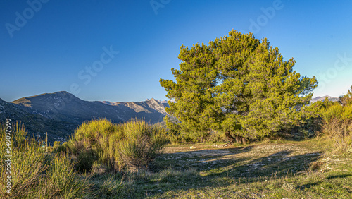 Paysage de montagne à l'automne dans l'arrière pays de Nice avec les sommets du Mercantour