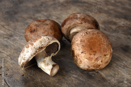 edible and healthy mushrooms for food fungi used in cooking