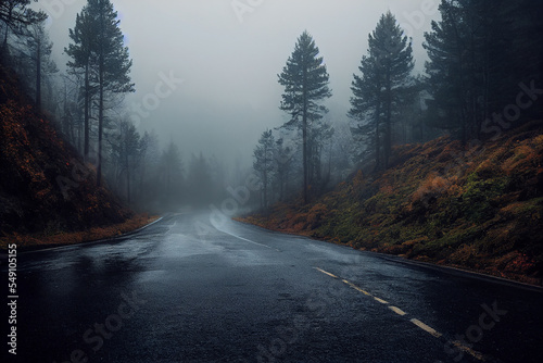 Fotobehang Road through dark misty forest on a rainy day