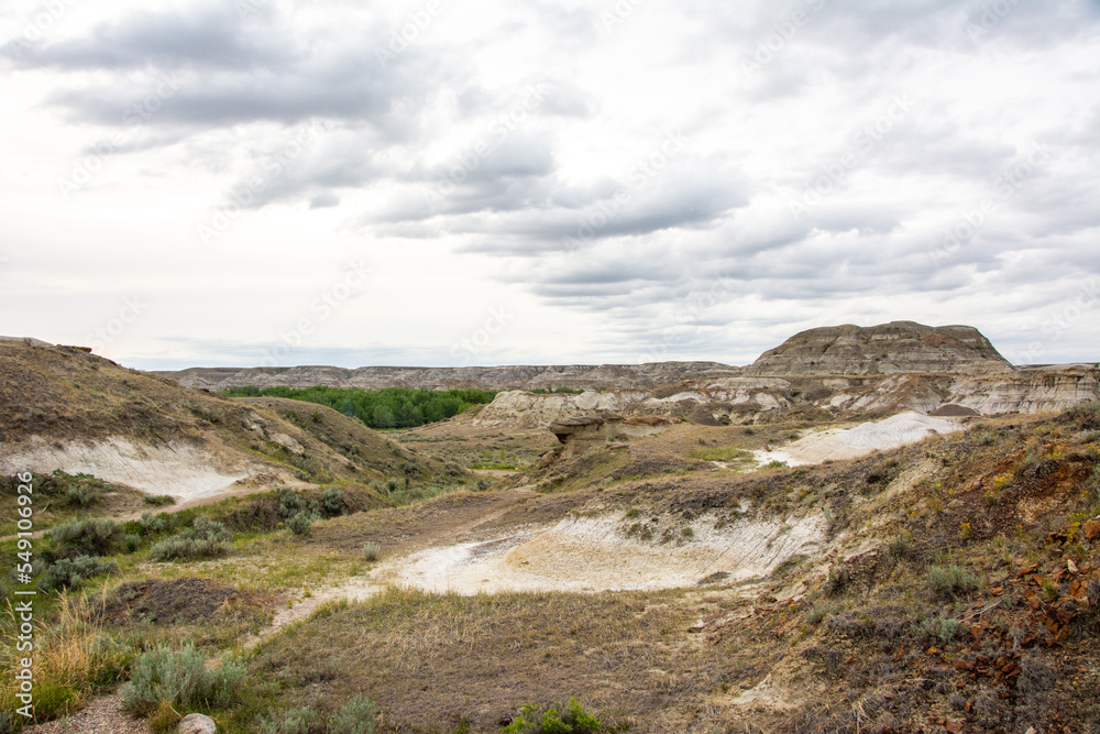 Badlands landscape, Dinosaur Provincial Park, Alberta