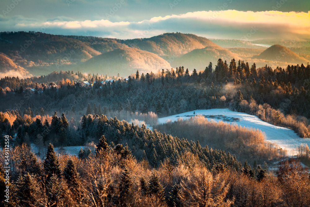 Obraz na płótnie Piękne góry porośnięte lasem w delikatnej porannej mgle oświetlonej światłem wschodzącego słońca, Bieszczady, Polska w salonie