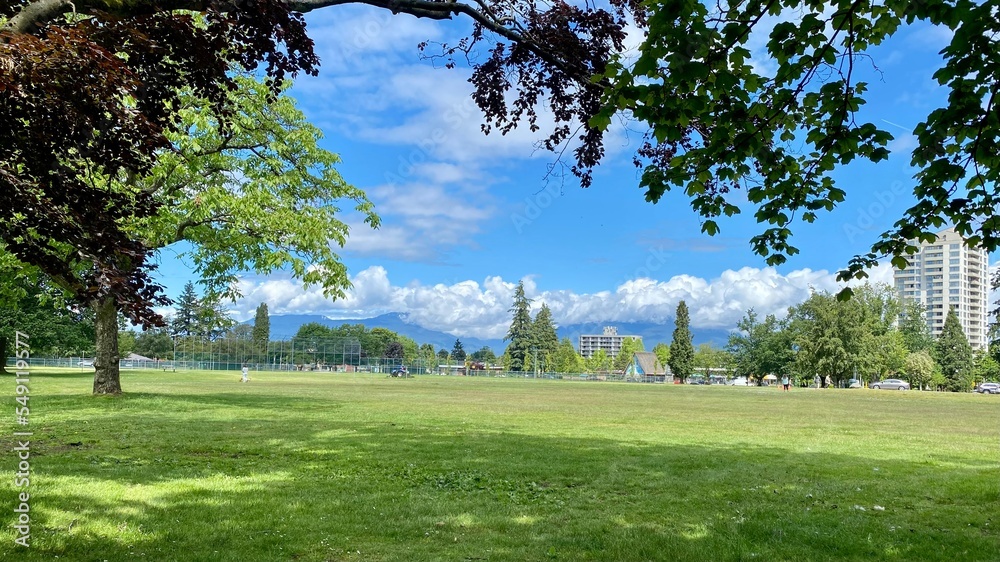 Naklejka premium field gate sport recreation green grass weekend family