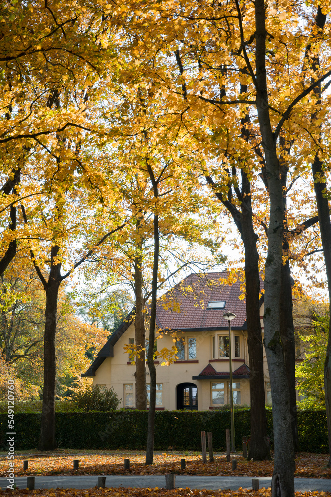 Autumn landscape, a house among the yellow autumn trees and leaf covered walkway Autumn landscape, a house among the yellow autumn trees and leaf covered walkway