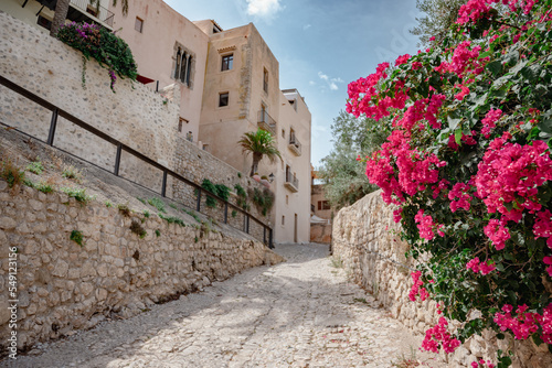 Ibiza Stadt (Eivissa) photo