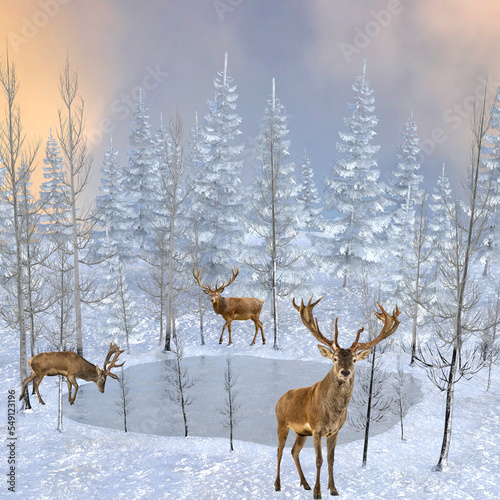 Deers in the snow serendipity. © photorebelle