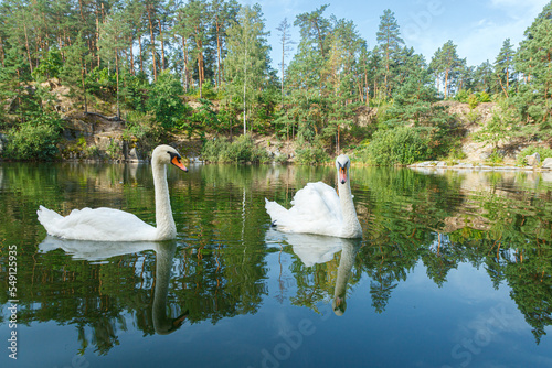 beautiful lake with a canyon on which swans swim with a blue sky