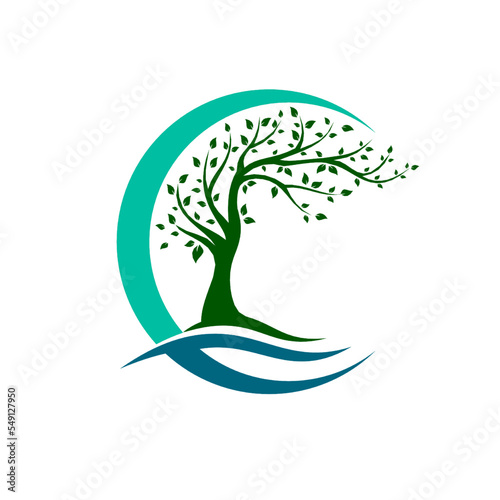 It may take up to 3 days for your approved content to be viewable elsewhere on the site.


