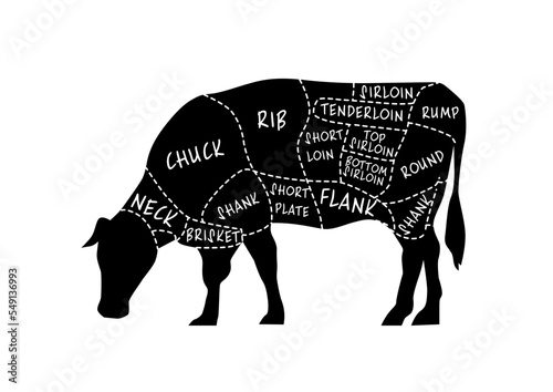 Butcher's guide: Cuts of beef scheme. Illustration of bull on white background