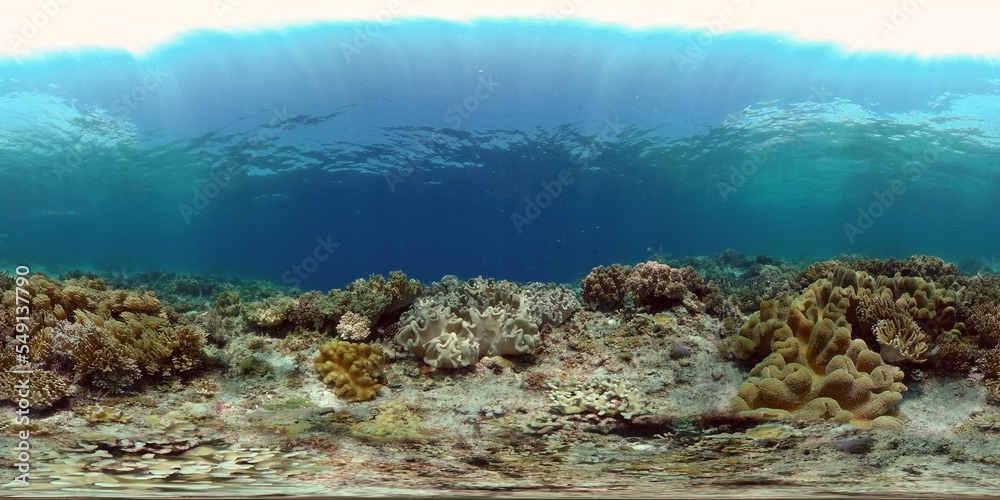 Sea coral reef. Underwater Tropical Sea Seascape. Tropical fish reef marine. Philippines. Virtual Reality 360.