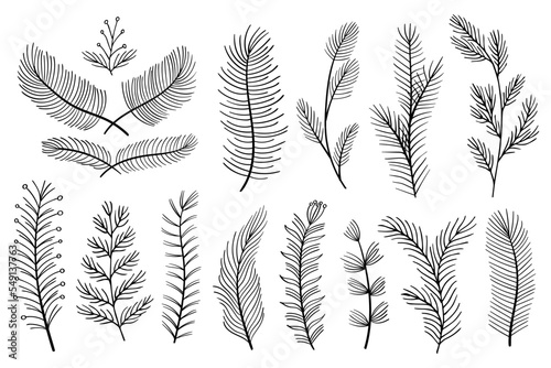 Leafs plants hand draw vector. Drawing beautiful creeper leaf, decorative set	Christmas.