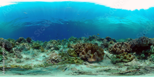 Fototapeta Naklejka Na Ścianę i Meble -  Colourful tropical coral reef. Scene reef. Seascape under water. Philippines. Virtual Reality 360.