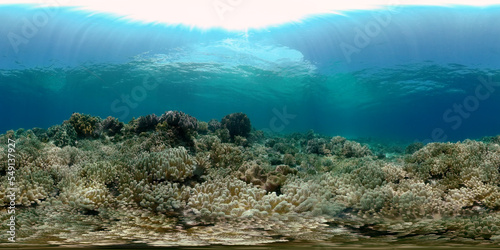 Coral reef underwater with tropical fish. Hard and soft corals, underwater landscape. Tropical underwater sea fish. Philippines. Virtual Reality 360.