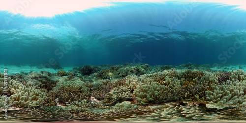Tropical colourful underwater seas. Coral Garden with Underwater Vibrant Fish. Underwater tropical colourful soft-hard corals seascape. Philippines. 360 panorama VR