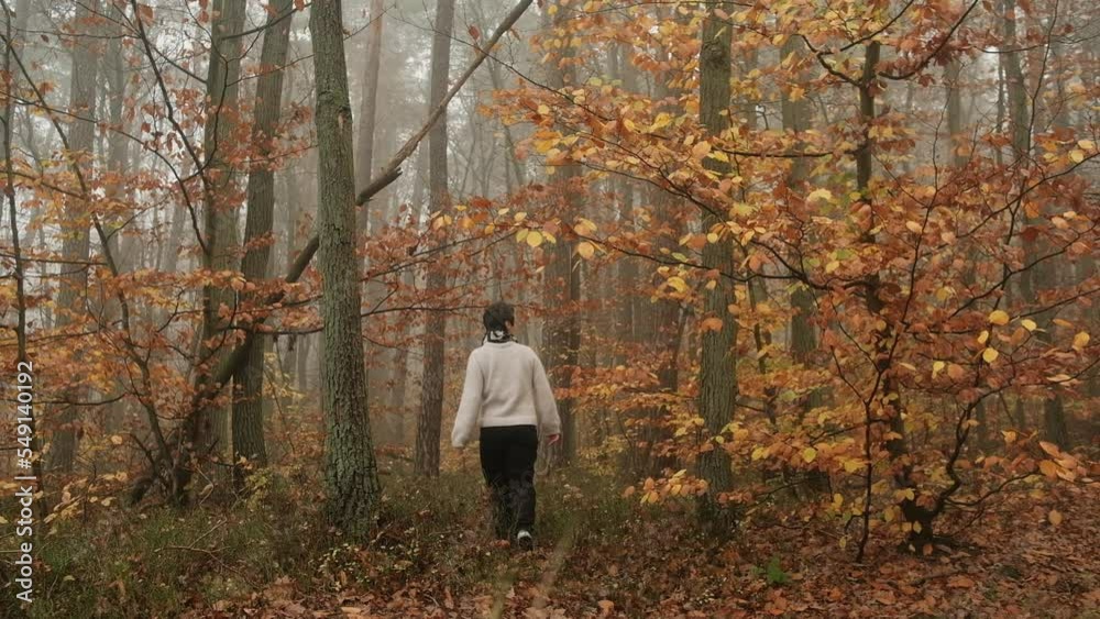 Female walking in forest in autumn forest at foggy day