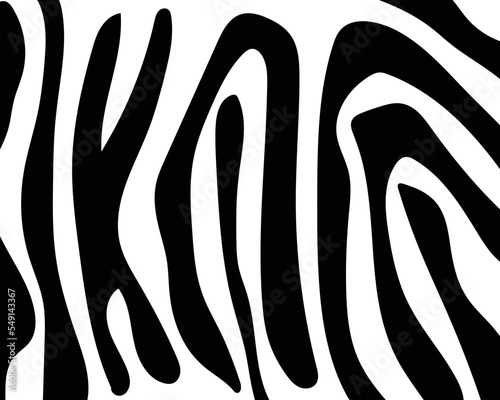 zebra skin texture
