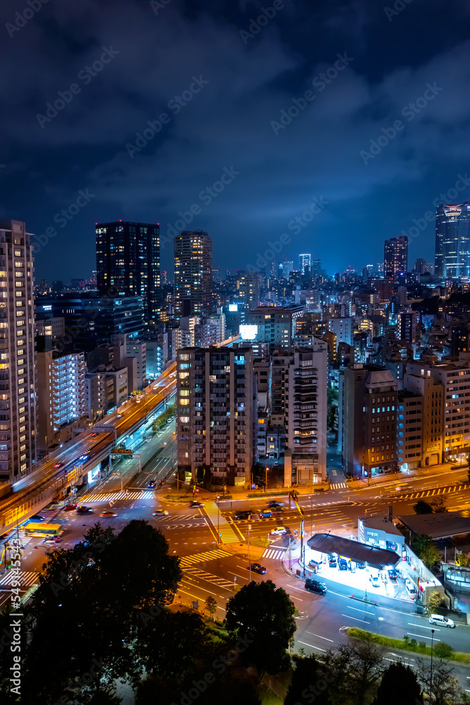 Skyscrapers and highways through Minato, Tokyo, Japan Skyscrapers and highways through Minato, Tokyo, Japan