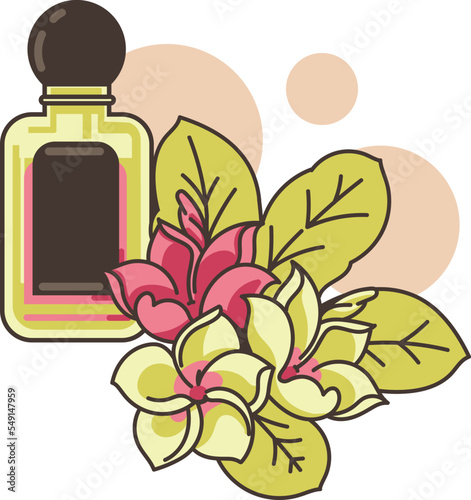 Frangipani perfume and frangipani flower vector