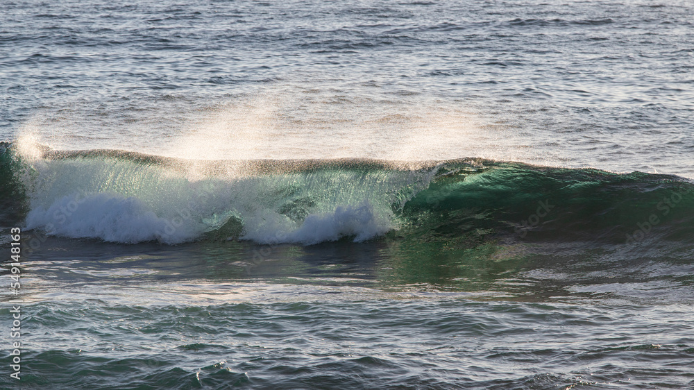 Fototapeta premium Wave barrel breaking in the ocean.