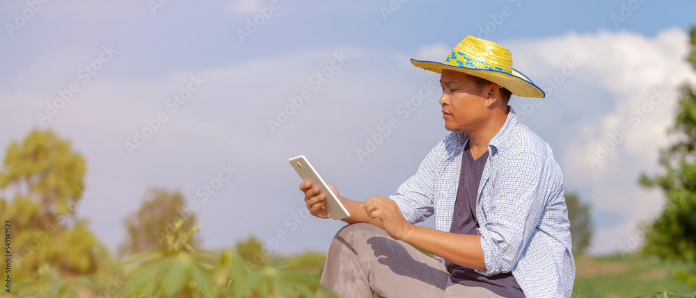A man to use check read or analysis a report of cassava in plantation farm on tablet computer,agriculture concept.